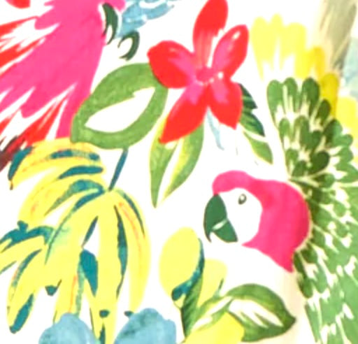 Tropical Bird Dress | Bright Multi Shift Mini Dress